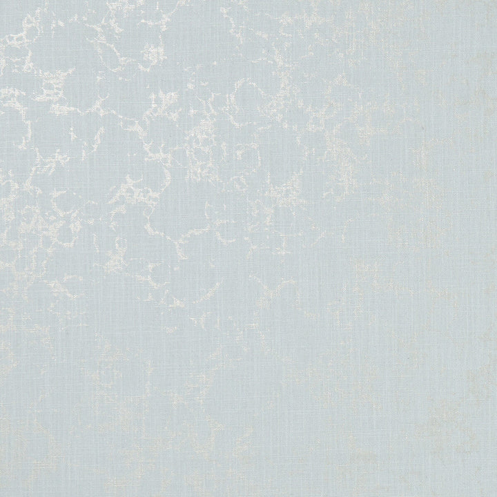 Pietra Mineral/Gilver by Clarke And Clarke Designer Fabric CLARKE & CLARKE BOTANICA VISCOSE - 75%;LINEN - 25% India - Horizontal: 0 and Vertical: 19.88 54 - Swanky Fabrics -