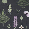 Clarke And Clarke Fabric Herbarium Heather/Ebony