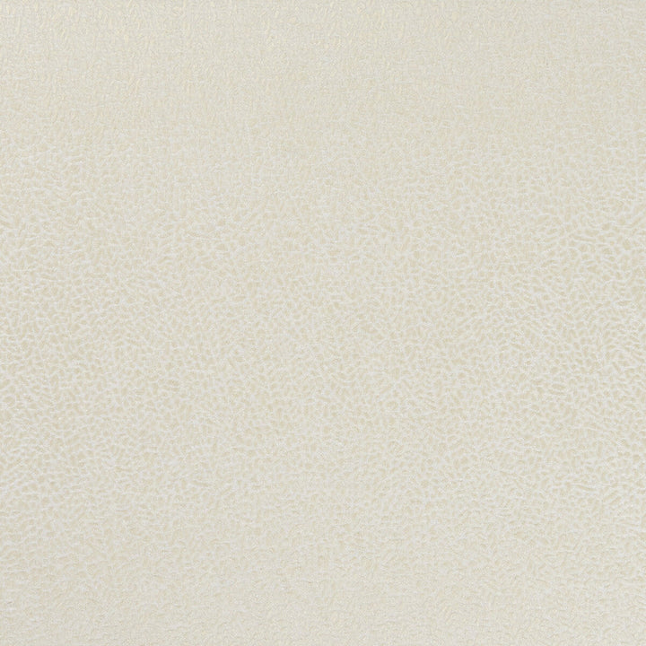 Isla Ivory/Gilver by Clarke And Clarke Designer Fabric CLARKE & CLARKE BOTANICA VISCOSE - 35%;POLYESTER - 33%;COTTON - 32% India HEAVY Horizontal: 0 and Vertical: 0 55 - Swanky Fabrics -