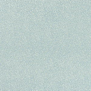 Clarke And Clarke Fabric Isla Mineral/Silver