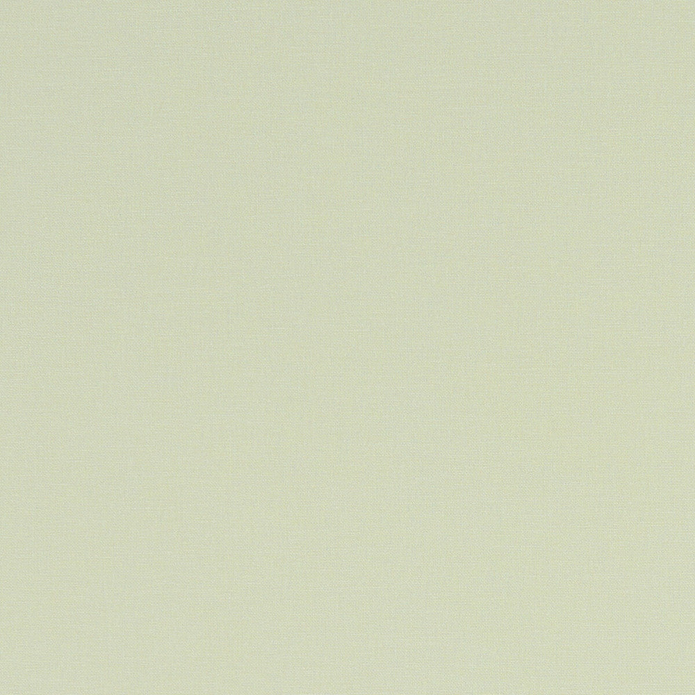 Alora Celadon by Clarke And Clarke Designer Fabric CLARKE & CLARKE ALORA COTTON - 100% Spain HEAVY Horizontal: 0 and Vertical: 0 54 - Swanky Fabrics -