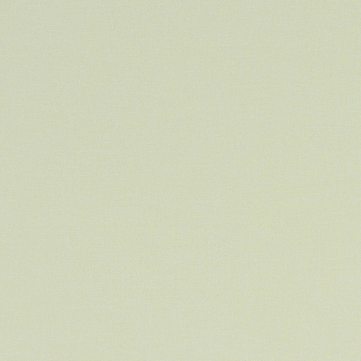 Alora Celadon by Clarke And Clarke Designer Fabric CLARKE & CLARKE ALORA COTTON - 100% Spain HEAVY Horizontal: 0 and Vertical: 0 54 - Swanky Fabrics -