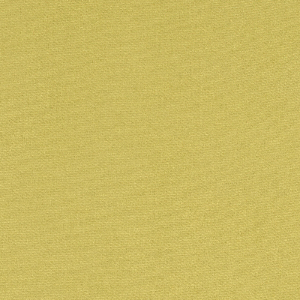Alora Celery by Clarke And Clarke Designer Fabric CLARKE & CLARKE ALORA COTTON - 100% Spain HEAVY Horizontal: 0 and Vertical: 0 54 - Swanky Fabrics -