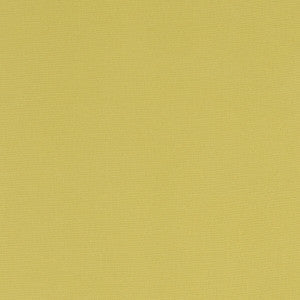 Clarke And Clarke Fabric Alora Celery