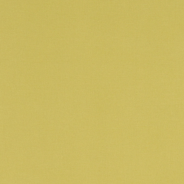 Alora Celery by Clarke And Clarke Designer Fabric CLARKE & CLARKE ALORA COTTON - 100% Spain HEAVY Horizontal: 0 and Vertical: 0 54 - Swanky Fabrics -