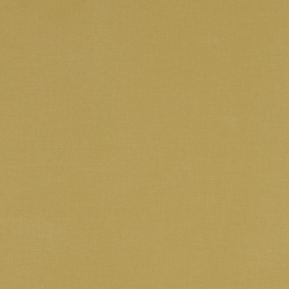 Alora Chartreuse by Clarke And Clarke Fabric Clarke And Clarke Fabric Alora ChartreuseFabric CLARKE & CLARKE ALORA COTTON - 100% Spain </p><p>Repeat: H: 0, V: 0 54 - Fabric Carolina -