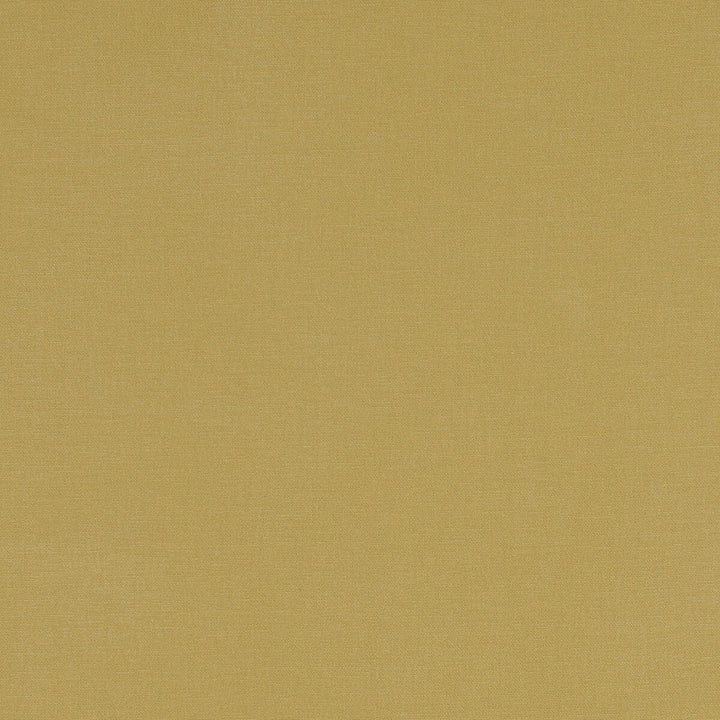Alora Chartreuse by Clarke And Clarke Designer Fabric CLARKE & CLARKE ALORA COTTON - 100% Spain HEAVY Horizontal: 0 and Vertical: 0 54 - Swanky Fabrics -
