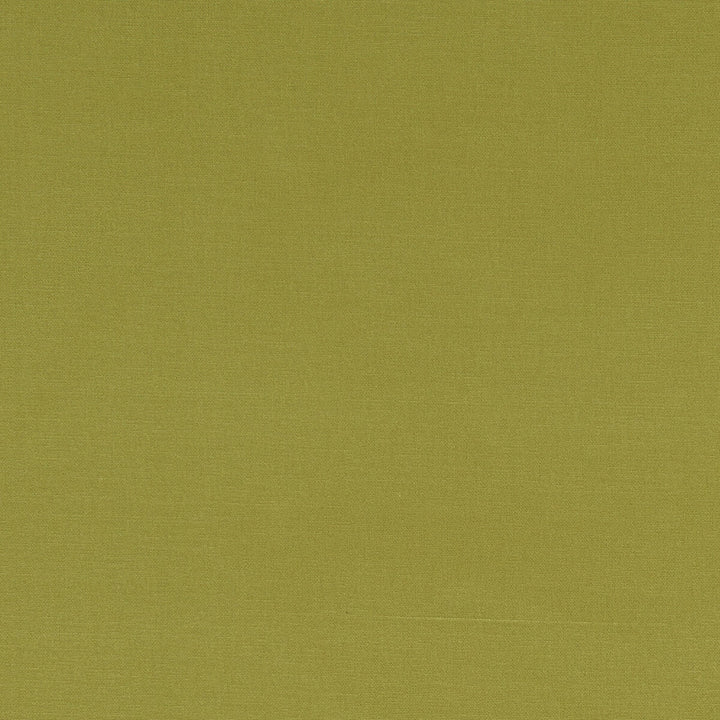 Alora Citrus by Clarke And Clarke Designer Fabric CLARKE & CLARKE ALORA COTTON - 100% Spain HEAVY Horizontal: 0 and Vertical: 0 54 - Swanky Fabrics -