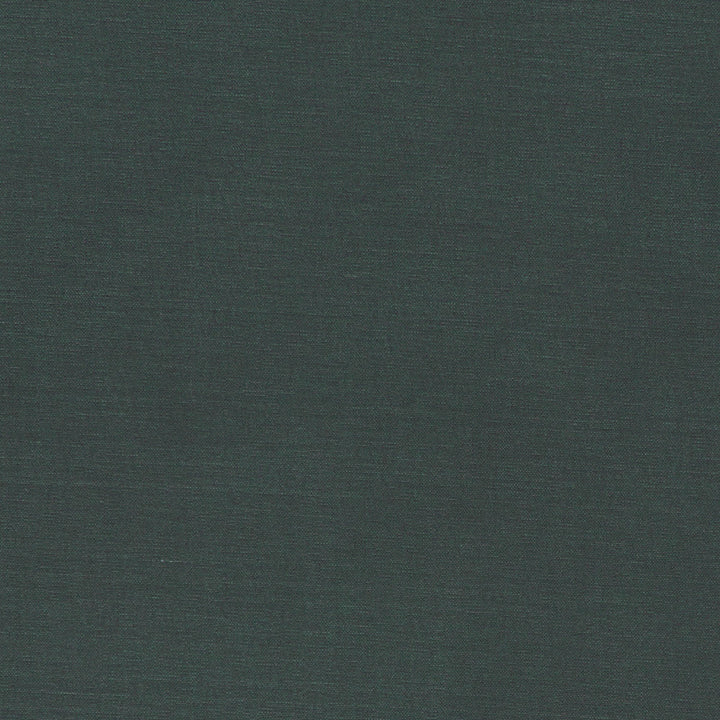 F1097 24 Alora Gunmetal by Clarke and Clarke Designer Fabric STUDIO G COTTON - 100% Spain HEAVY Horizontal: 0 and Vertical: 0 54 - Swanky Fabrics -