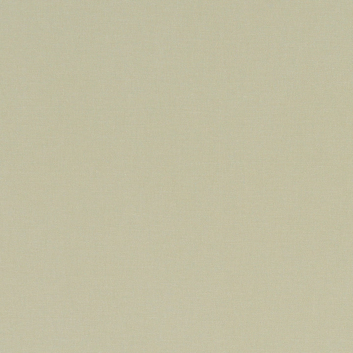 F1097 26 Alora Hemp by Clarke and Clarke Designer Fabric STUDIO G COTTON - 100% Spain HEAVY Horizontal: 0 and Vertical: 0 54 - Swanky Fabrics -