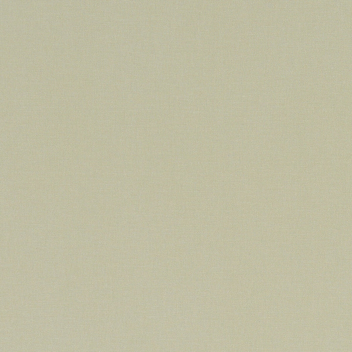 Alora Hemp by Clarke And Clarke Designer Fabric CLARKE & CLARKE ALORA COTTON - 100% Spain HEAVY Horizontal: 0 and Vertical: 0 54 - Swanky Fabrics -