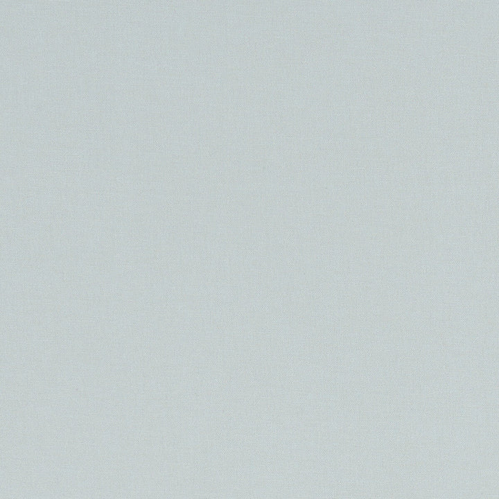 Alora Mineral by Clarke And Clarke Designer Fabric CLARKE & CLARKE ALORA COTTON - 100% Spain HEAVY Horizontal: 0 and Vertical: 0 54 - Swanky Fabrics -