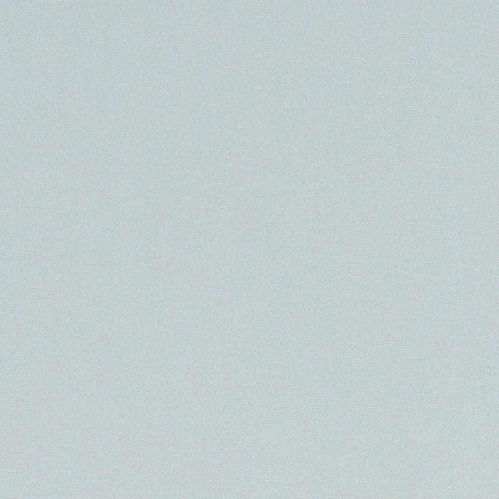 F1097 37 Alora Mineral by Clarke and Clarke Designer Fabric STUDIO G COTTON - 100% Spain HEAVY Horizontal: 0 and Vertical: 0 54 - Swanky Fabrics -