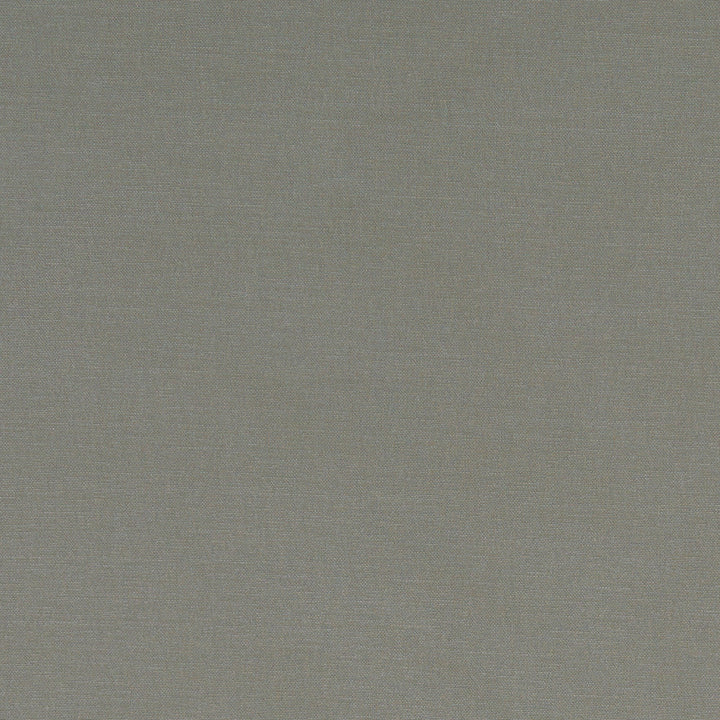 F1097 38 Alora Mink by Clarke and Clarke Designer Fabric STUDIO G COTTON - 100% Spain HEAVY Horizontal: 0 and Vertical: 0 54 - Swanky Fabrics -