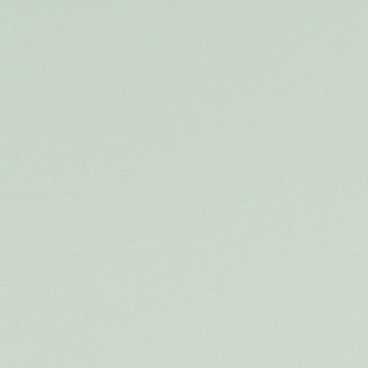 Alora Mint by Clarke And Clarke Designer Fabric CLARKE & CLARKE ALORA COTTON - 100% Spain HEAVY Horizontal: 0 and Vertical: 0 54 - Swanky Fabrics -