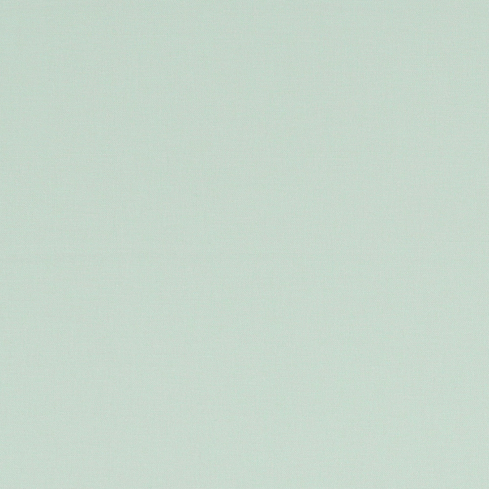 F1097 39 Alora Mint by Clarke and Clarke Designer Fabric STUDIO G COTTON - 100% Spain HEAVY Horizontal: 0 and Vertical: 0 54 - Swanky Fabrics -