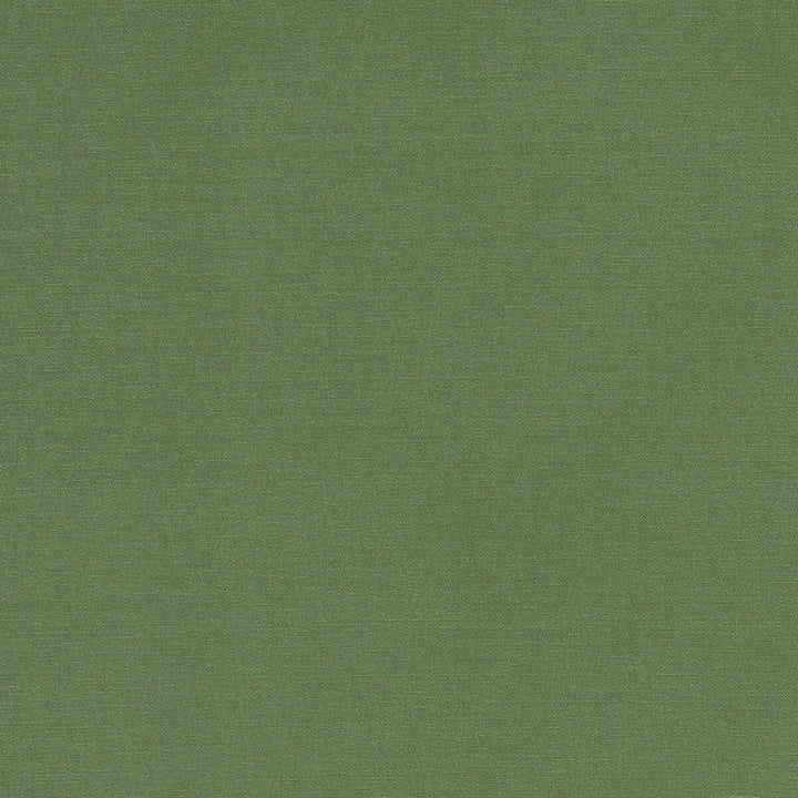 Alora Palm by Clarke And Clarke Fabric Clarke And Clarke Fabric Alora PalmFabric CLARKE & CLARKE ALORA COTTON - 100% Spain </p><p>Repeat: H: 0, V: 0 54 - Fabric Carolina -