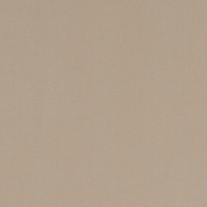 F1097 55 Alora Sand by Clarke and Clarke Designer Fabric STUDIO G COTTON - 100% Spain HEAVY Horizontal: 0 and Vertical: 0 54 - Swanky Fabrics -