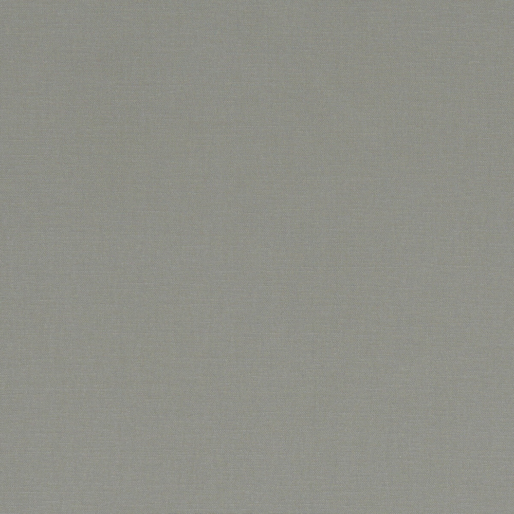 Alora Smoke by Clarke And Clarke Designer Fabric CLARKE & CLARKE ALORA COTTON - 100% Spain HEAVY Horizontal: 0 and Vertical: 0 54 - Swanky Fabrics -