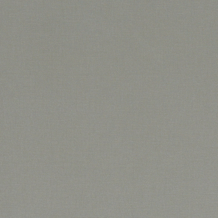 F1097 58 Alora Smoke by Clarke and Clarke Designer Fabric STUDIO G COTTON - 100% Spain HEAVY Horizontal: 0 and Vertical: 0 54 - Swanky Fabrics -