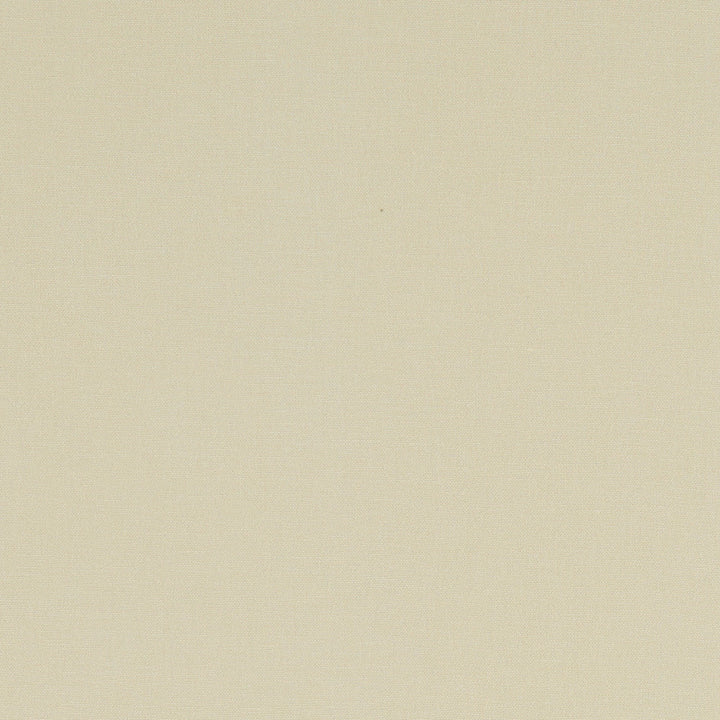 F1097 62 Alora Stone by Clarke and Clarke Designer Fabric STUDIO G COTTON - 100% Spain HEAVY Horizontal: 0 and Vertical: 0 54 - Swanky Fabrics -