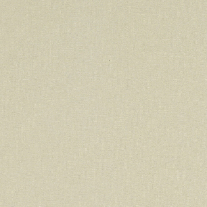 Alora Stone by Clarke And Clarke Designer Fabric CLARKE & CLARKE ALORA COTTON - 100% Spain HEAVY Horizontal: 0 and Vertical: 0 54 - Swanky Fabrics -