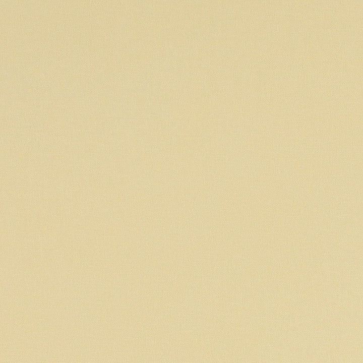 F1097 63 Alora Straw by Clarke and Clarke Designer Fabric STUDIO G COTTON - 100% Spain HEAVY Horizontal: 0 and Vertical: 0 54 - Swanky Fabrics -