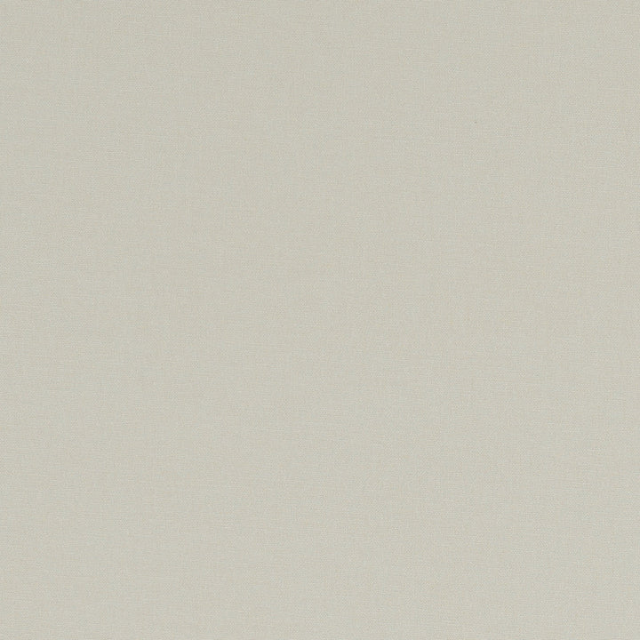 F1097 64 Alora String by Clarke and Clarke Designer Fabric STUDIO G COTTON - 100% Spain HEAVY Horizontal: 0 and Vertical: 0 54 - Swanky Fabrics -