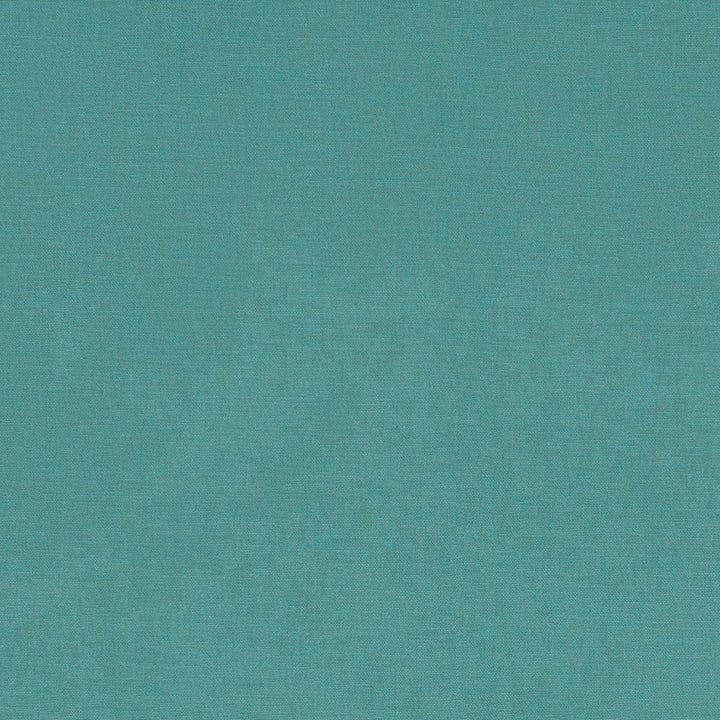 F1097 65 Alora Surf by Clarke and Clarke Designer Fabric STUDIO G COTTON - 100% Spain HEAVY Horizontal: 0 and Vertical: 0 54 - Swanky Fabrics -