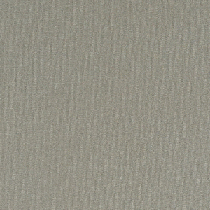 Alora Taupe by Clarke And Clarke Designer Fabric CLARKE & CLARKE ALORA COTTON - 100% Spain HEAVY Horizontal: 0 and Vertical: 0 54 - Swanky Fabrics -