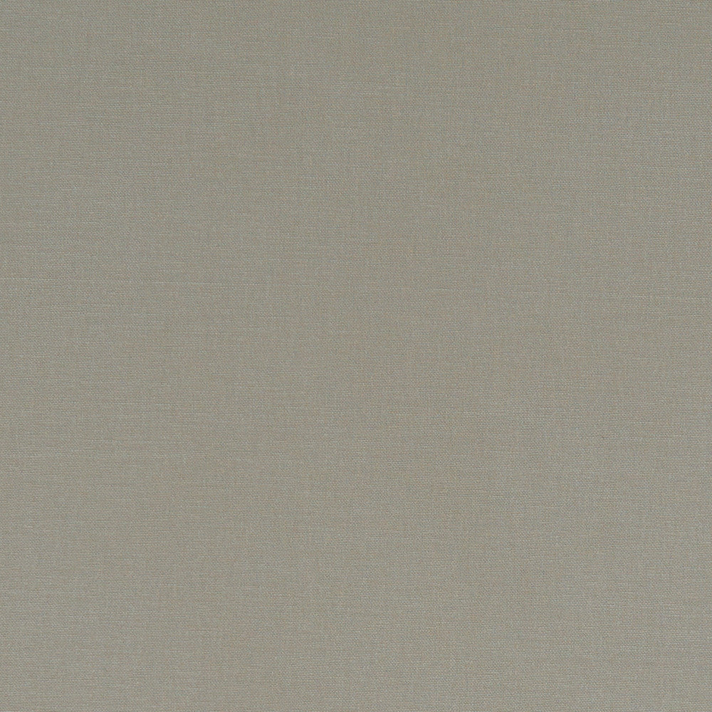 F1097 66 Alora Taupe by Clarke and Clarke Designer Fabric STUDIO G COTTON - 100% Spain HEAVY Horizontal: 0 and Vertical: 0 54 - Swanky Fabrics -
