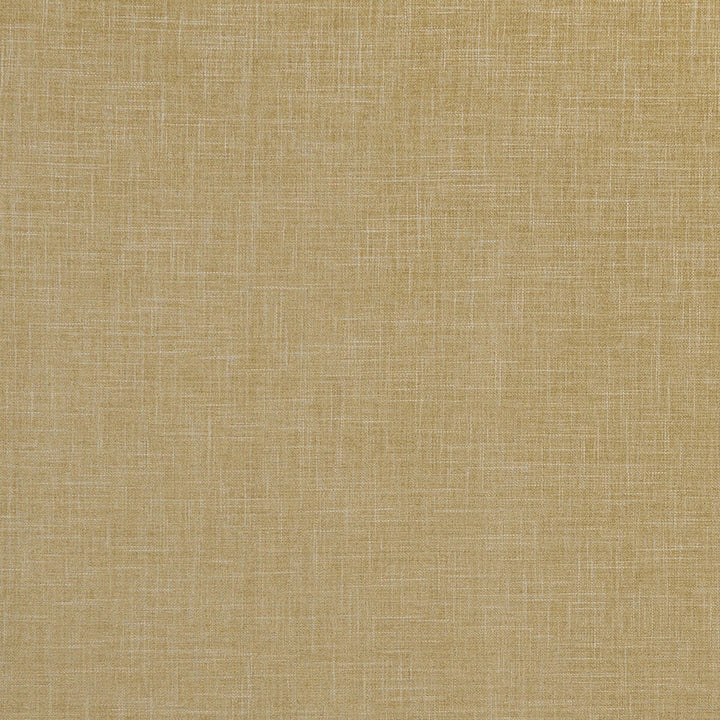 Albany Antique by Clarke And Clarke Fabric Clarke And Clarke Fabric Albany AntiqueFabric CLARKE & CLARKE ALBANY & MORAY POLYESTER - 78%;COTTON - 22% India </p><p>Repeat: H: 0, V: 0 55 - Fabric Carolina -