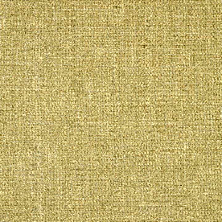 Albany Chartreuse by Clarke And Clarke Designer Fabric CLARKE & CLARKE ALBANY & MORAY POLYESTER - 78%;COTTON - 22% India HEAVY Horizontal: 0 and Vertical: 0 55 - Swanky Fabrics -