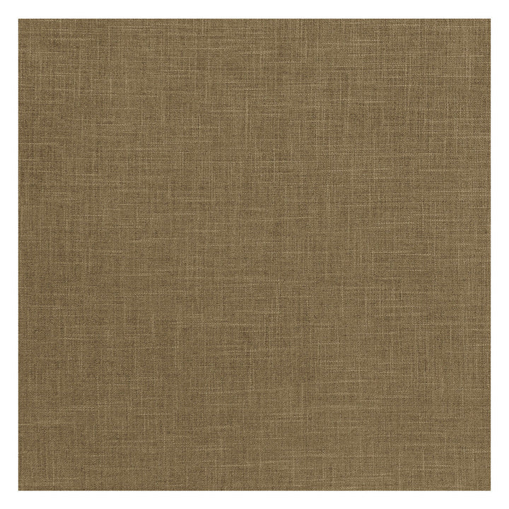 Albany Moss by Clarke And Clarke Fabric Clarke And Clarke Fabric Albany MossFabric CLARKE & CLARKE ALBANY & MORAY POLYESTER - 78%;COTTON - 22% India </p><p>Repeat: H: 0, V: 0 55 - Fabric Carolina -
