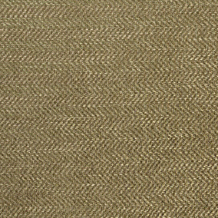 Moray Moss by Clarke And Clarke Designer Fabric CLARKE & CLARKE ALBANY & MORAY POLYESTER - 64%;COTTON - 12%;LINEN - 12%;VISCOSE - 12% India HEAVY Horizontal: 0 and Vertical: 0 55 - Swanky Fabrics -