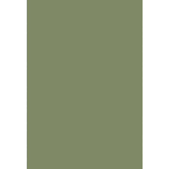 Colour Box Velvet Olv Grn by Cole & Son Designer Fabric COLE & SON CONTEMPORARY FABRICS COTTON - 88%;POLYESTER - 12% United Kingdom HEAVY Horizontal: 0 and Vertical: 0 55.1 - Swanky Fabrics -