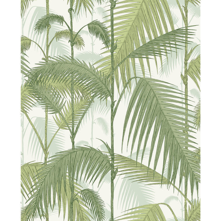 Palm Jungle Olv Grn On Wht by Cole & Son Fabric Cole & Son Fabric Palm Jungle Olv Grn On WhtFabric COLE & SON CONTEMPORARY FABRICS LINEN - 61%;COTTON - 29%;NYLON - 10% Italy </p><p>Repeat: H: 17.7, V: 22 53 - Fabric Carolina -