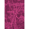 Cole & Son Fabric Cow Parsley Magnta Plm