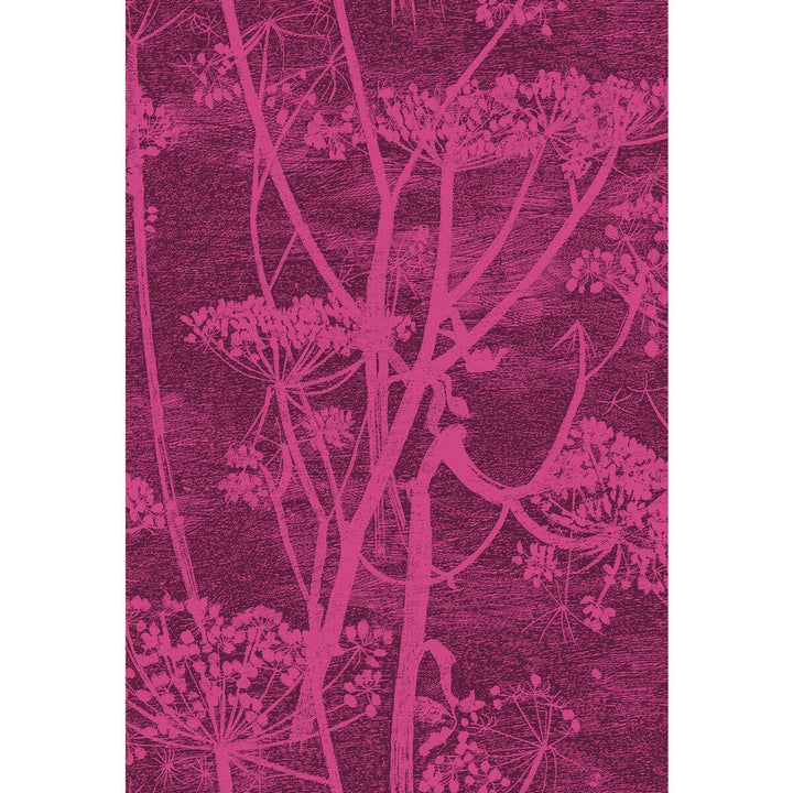 Cow Parsley Magnta Plm by Cole & Son Fabric Cole & Son Fabric Cow Parsley Magnta PlmFabric COLE & SON CONTEMPORARY FABRICS COTTON - 66%;VISCOSE - 31%;POLYESTER - 3% Italy </p><p>Repeat: H: 17.33, V: 25.4 52 - Fabric Carolina -