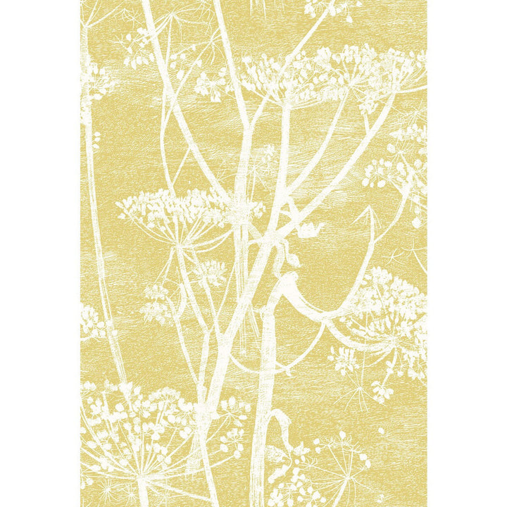 Cow Parsley Wht & Chartre by Cole & Son Fabric Cole & Son Fabric Cow Parsley Wht & ChartreFabric COLE & SON CONTEMPORARY FABRICS COTTON - 100% Italy </p><p>Repeat: H: 18.5, V: 28 55.5 - Fabric Carolina -