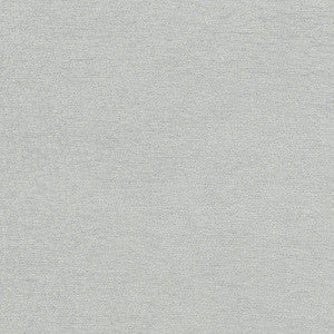 Clarke And Clarke Fabric Nebula Dove