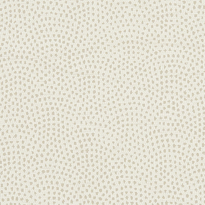 Nebula Ivory by Clarke And Clarke Designer Fabric CLARKE & CLARKE EQUINOX POLYESTER - 100% Turkey HEAVY Horizontal: 10 and Vertical: 9.125 54 - Swanky Fabrics -