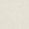 Clarke And Clarke Fabric Nebula Ivory