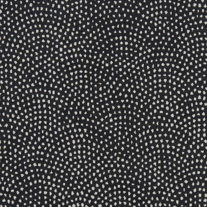 Nebula Noir by Clarke And Clarke Fabric Clarke And Clarke Fabric Nebula NoirFabric CLARKE & CLARKE EQUINOX POLYESTER - 100% Turkey </p><p>Repeat: H: 10, V: 9.125 54 - Fabric Carolina -