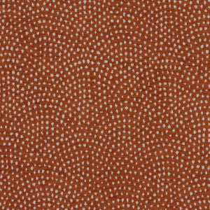 Clarke And Clarke Fabric Nebula Spice