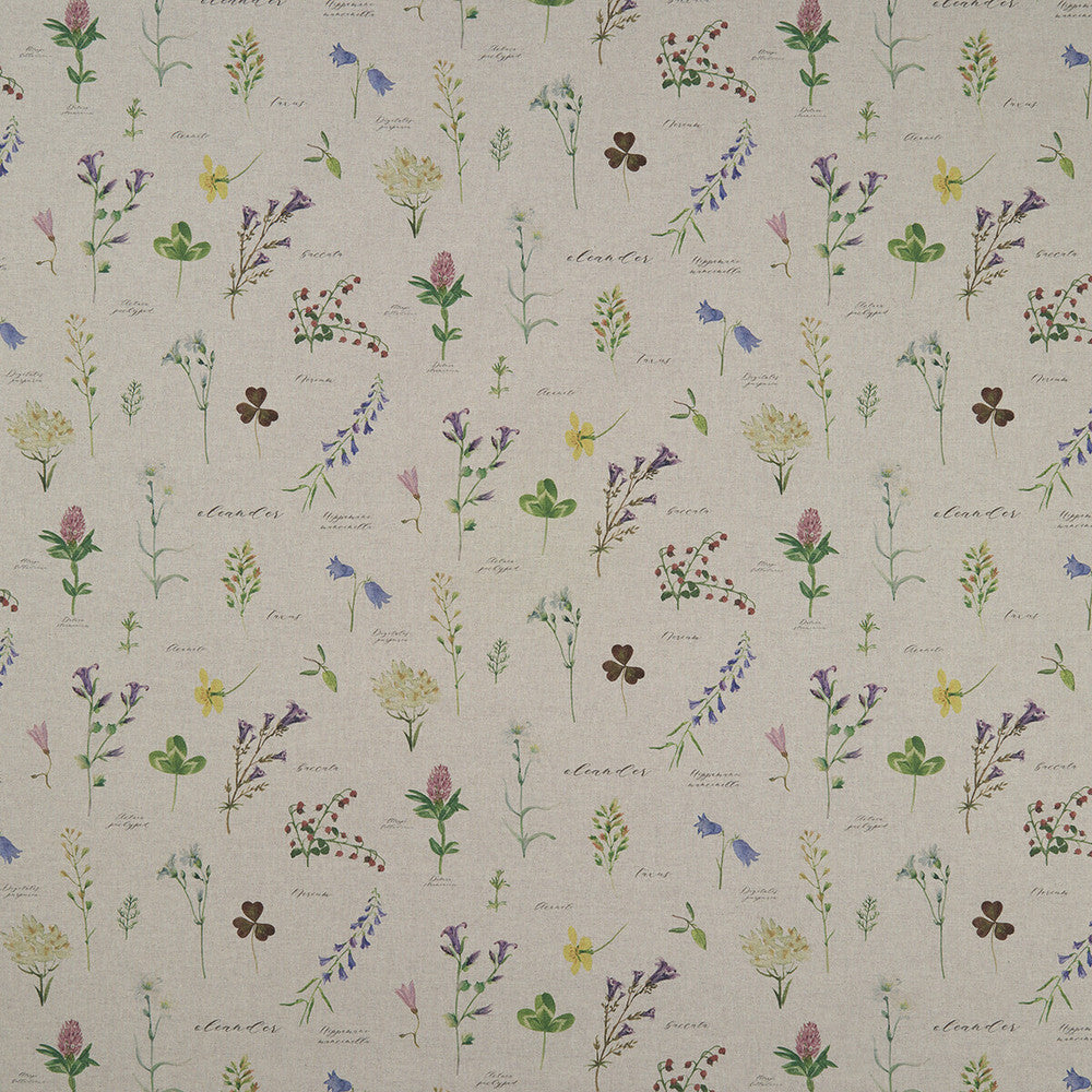 Nerium Linen by Clarke And Clarke Designer Fabric CLARKE & CLARKE COUNTRY GARDEN COTTON - 80%;POLYESTER - 20% Spain MEDIUM Horizontal: 26.97 and Vertical: 18.62 54 - Swanky Fabrics -