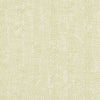 Clarke And Clarke Fabric Ashmore Citron