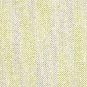 Clarke And Clarke Fabric Ashmore Citron