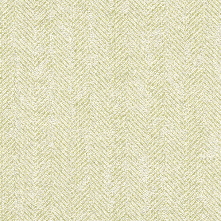 Ashmore Citron by Clarke And Clarke Designer Fabric CLARKE & CLARKE HERITAGE COTTON - 45%;VISCOSE - 44%;LINEN - 11% Turkey HEAVY Horizontal: 0 and Vertical: 0 54 - Swanky Fabrics -