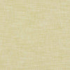 Clarke And Clarke Fabric Milton Citron